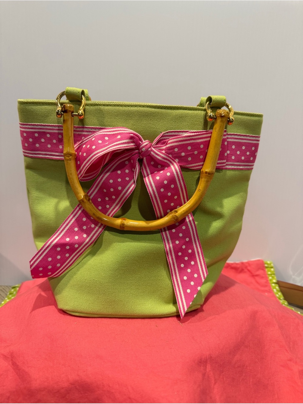 Tianni Purse Green Pink Ribbon bamboo handles Purse Handbag